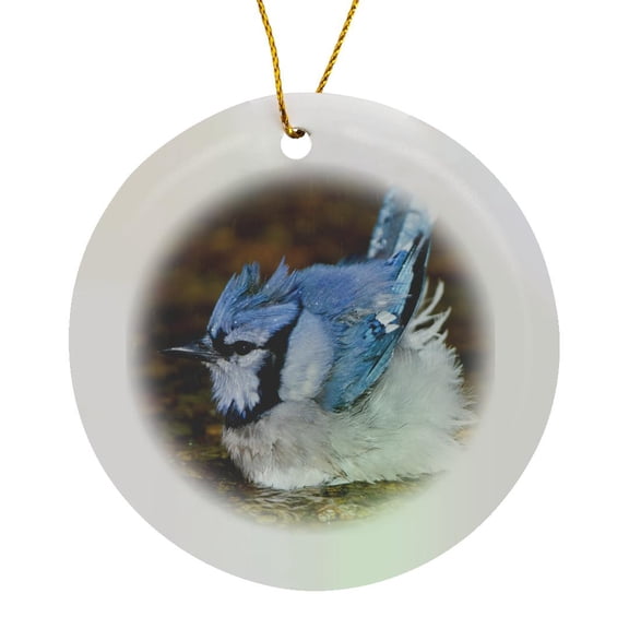 3drose, Blue Jay, Cyanocitta Cristata, Bathing, Marion, Illinois, Usa., Circle Porcelain Ornament
