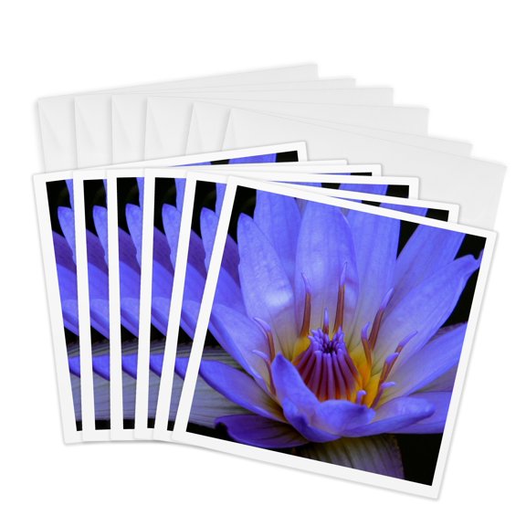 3drose, Blue Macro Lotus Flower, 6 Greeting Cards with Envelopes