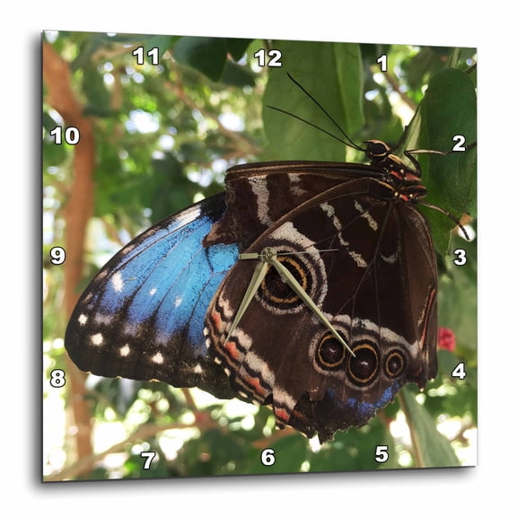 3drose, Blue Monarch Butterfly Relaxing, 10x10 Wall Clock
