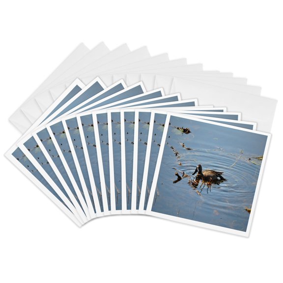 3drose, Blue Winged Teal Duck, 12 Greeting Cards with Envelopes