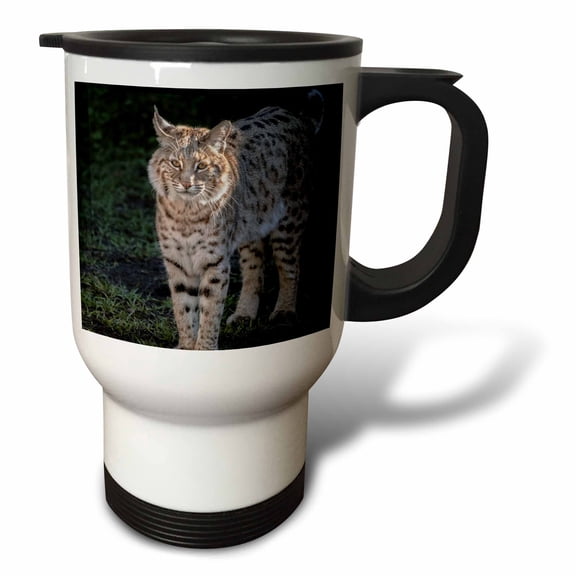 3drose, Bobcat, Captive, Gatorland, Orlando, Florida, 14oz Stainless Steel Travel Mug