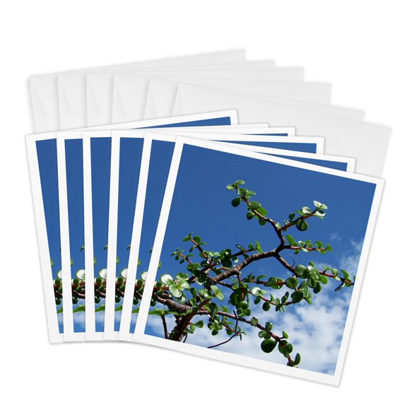 3drose, Bonsai Portulacaria Afra Tree 2, 6 Greeting Cards with Envelopes