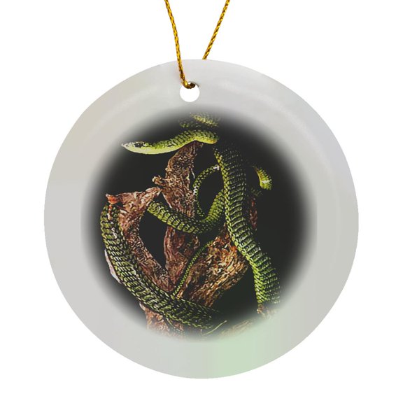 3drose, Boomslang Snake, Circle Porcelain Ornament