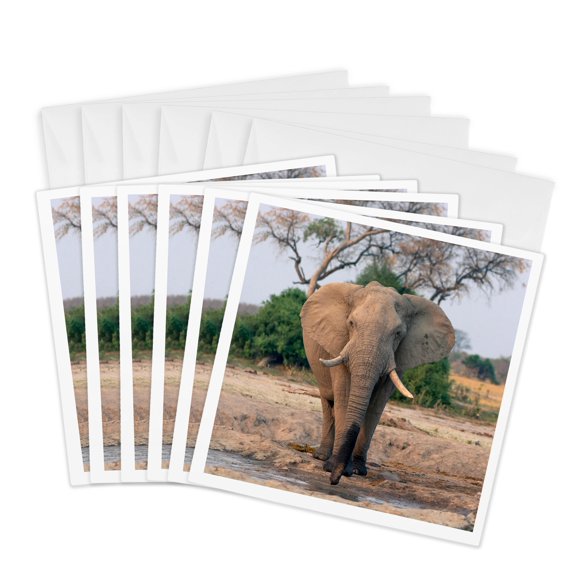 3drose, Botswana. Harveys Pan. Elephant Drinking from a Waterhole., 6 Greeting Cards with Envelopes