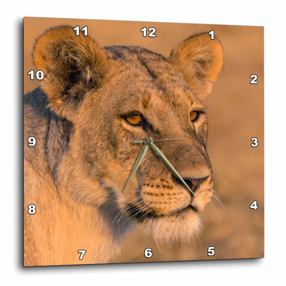 3drose, Botswana. Savuti. Female Lion Portrait., 15x15 Wall Clock