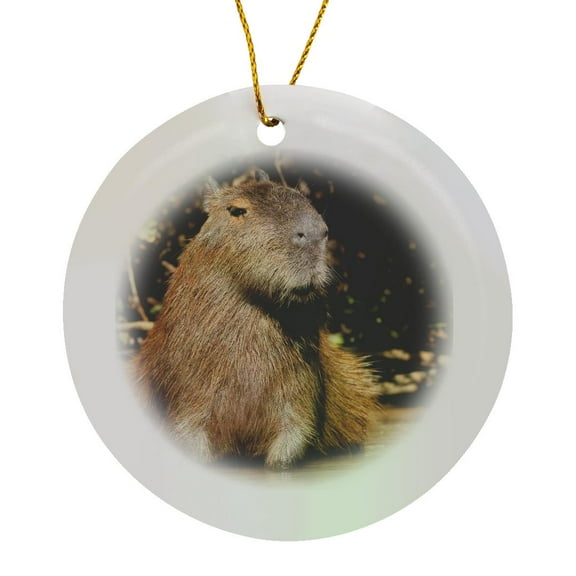 3drose, Brazil, Mato Grosso, the Pantanal. Capybara Sitting in Water., Circle Porcelain Ornament
