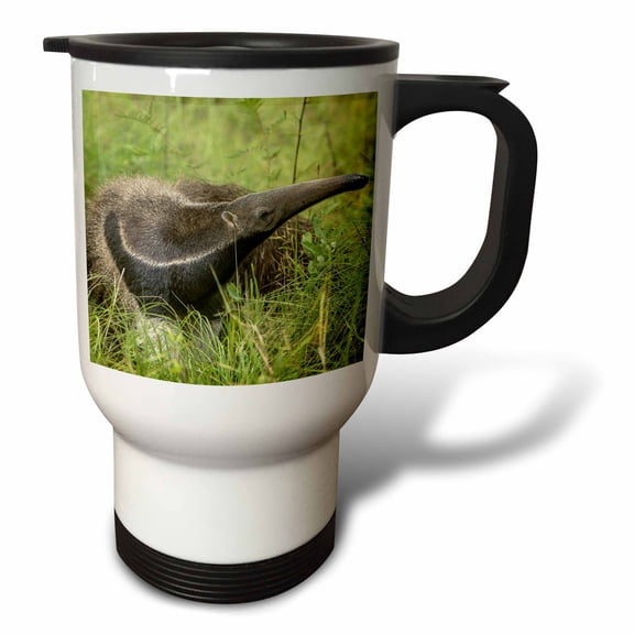 3drose, Brazil, Pantanal. Giant Anteater in Grass., 14oz Stainless Steel Travel Mug