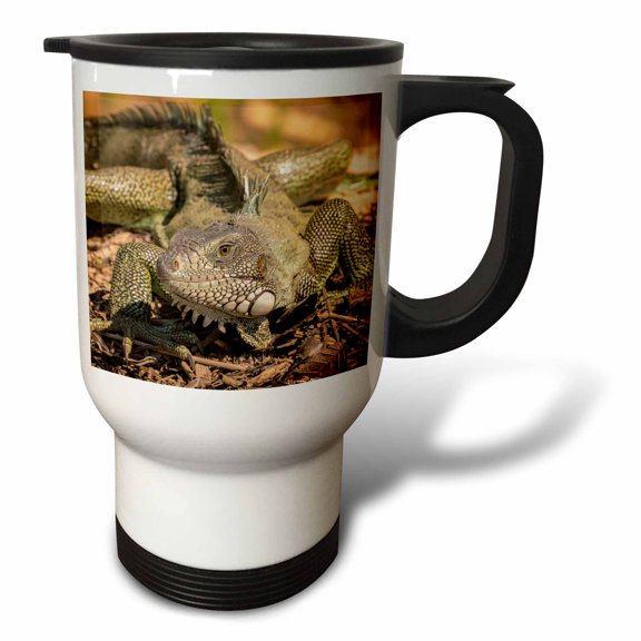 3drose, Brazil, Pantanal. Green Iguana., 14oz Stainless Steel Travel Mug