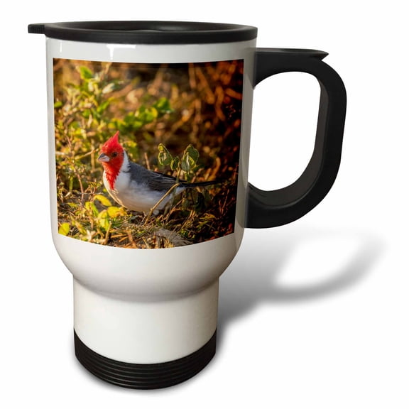 3drose, Brazil, Pantanal. Red-crested Cardinal, 14oz Stainless Steel Travel Mug