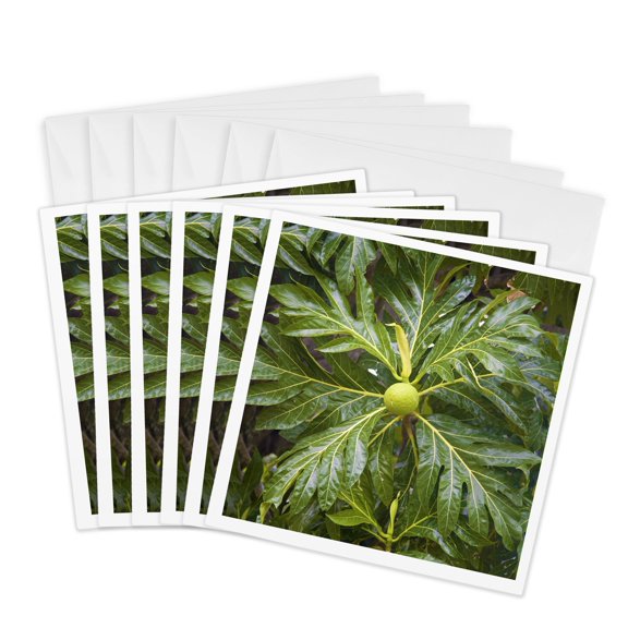3drose, Breadfruit Tree, Moorea, French Polynesia - Oc13 Dpb0078 - Douglas Peebles, 6 Greeting Cards with Envelopes