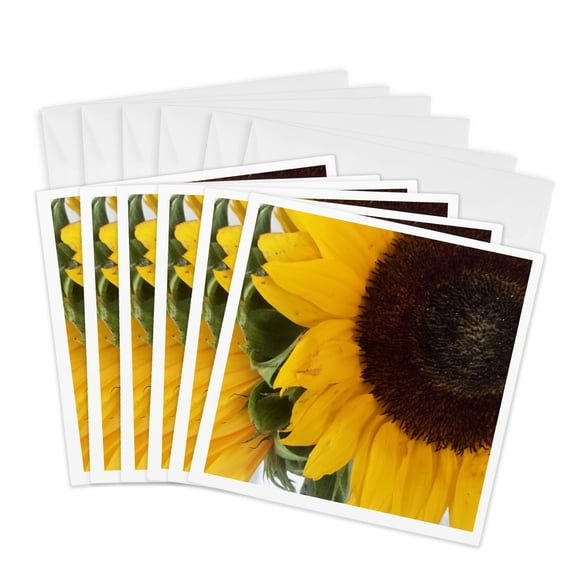 3drose, Bright and Beautiful Sunflower, 6 Greeting Cards with Envelopes