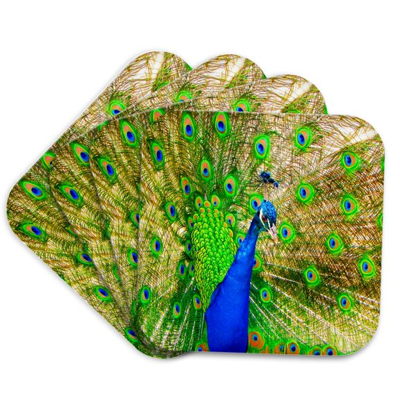 3drose, Brilliant Colored Peacock Remastered Photograph, Set of 4 Coasters - Soft