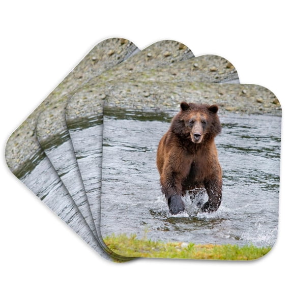 3drose, Brown Bear Chases After a Salmon Dinner at Pack Creek., Set of 4 Coasters - Cork