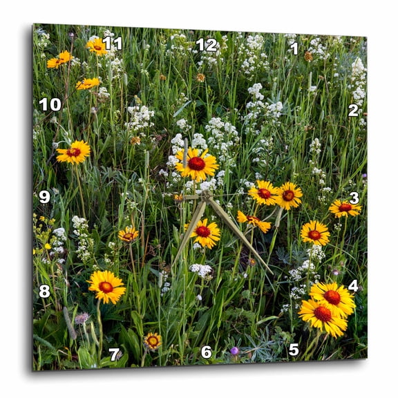 3drose, Brown Eyed Susan and Wild Buckwheat in Glacier National Park, Montana, 10x10 Wall Clock