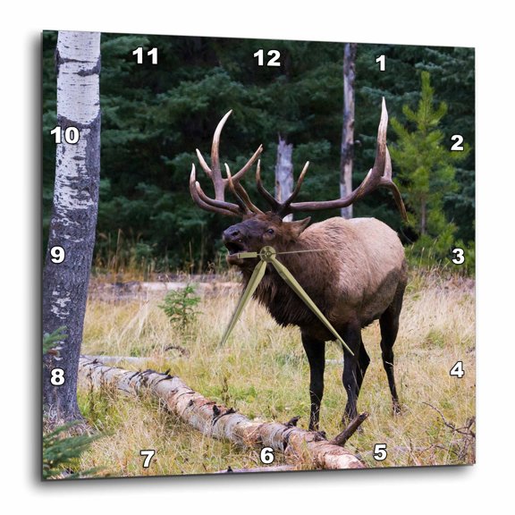 3drose, Bull Elk Bugling, 15x15 Wall Clock