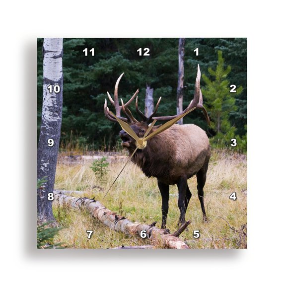 3drose, Bull Elk Bugling, 15x15 Wall Clock