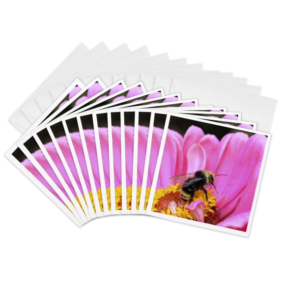 3drose, Bumble Bee Macro- Zinnia Flower- Nature Photography, 12 Greeting Cards with Envelopes