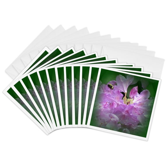 3drose, Bumble Bee on Purple Rhododendron Flowers, 12 Greeting Cards with Envelopes