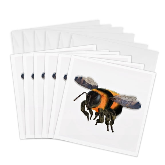 3drose, Bumblebee in Flight, 6 Greeting Cards with Envelopes