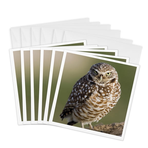 3drose, Burrowing Owl, 6 Greeting Cards with Envelopes