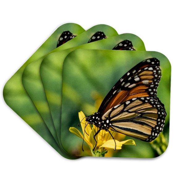 3drose, Butterfly, Set of 4 Coasters - Cork