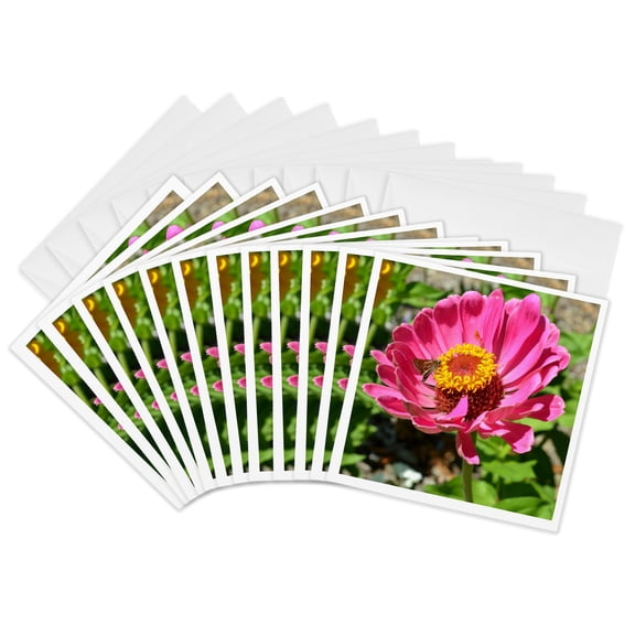 3drose, Butterfly Visit Zinnia Flowers Flower Photography, 12 Greeting Cards with Envelopes