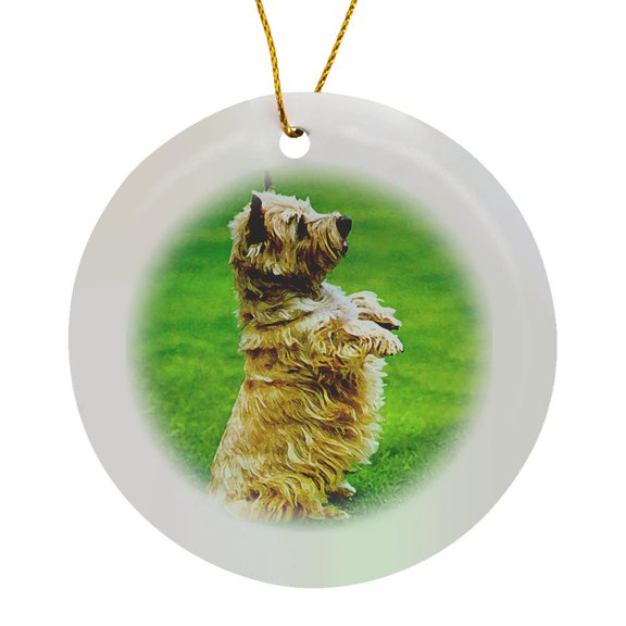 3drose, Cairn Terrier, Circle Porcelain Ornament
