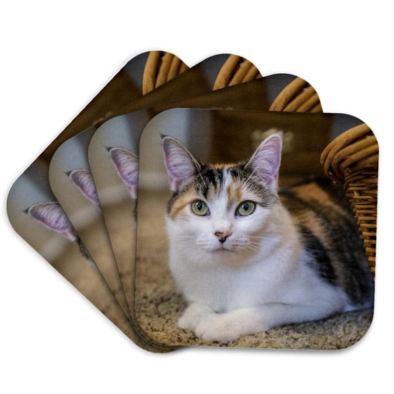 3drose, Calico Cat Peeking Out from Behind a Wicker Basket., Set of 4 Coasters - Cork
