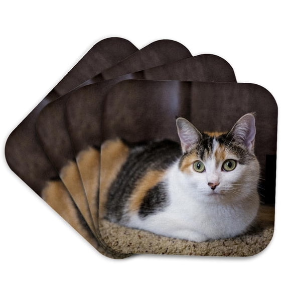 3drose, Calico Cat Relaxing on a Carpeted Floor., Set of 4 Coasters - Cork