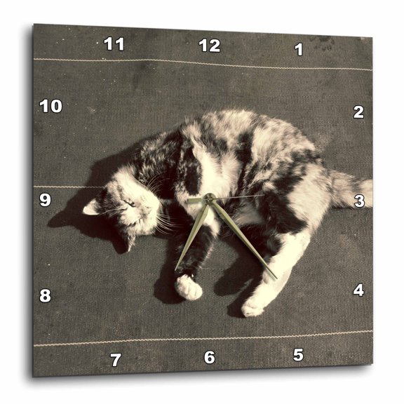 3drose, Calico Cat on Side, 13x13 Wall Clock