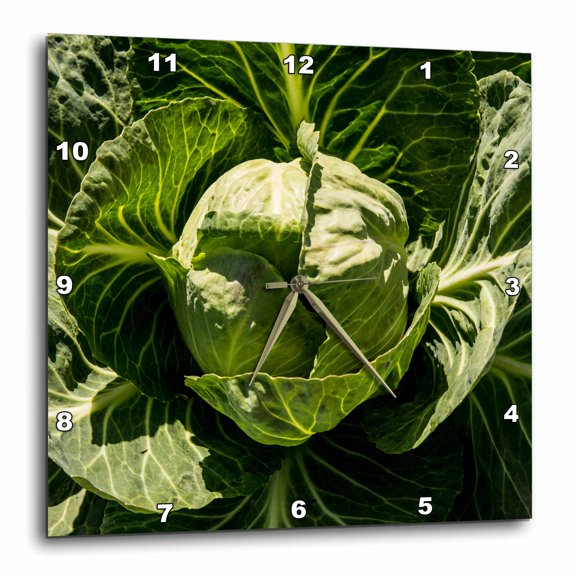 3drose, California, Central Valley, Modesto, Maze Boulevard, Cabbage for Sale, 15x15 Wall Clock