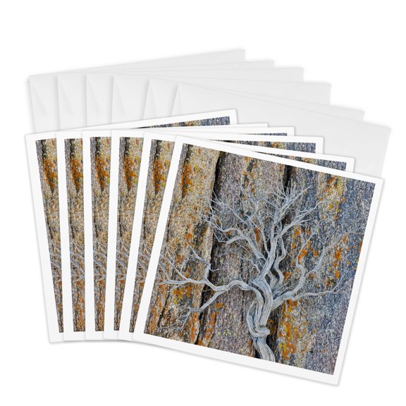 3drose, California, Lone Pine. Hills with Lichen Covered Rocks, Dried Brush, 6 Greeting Cards with Envelopes