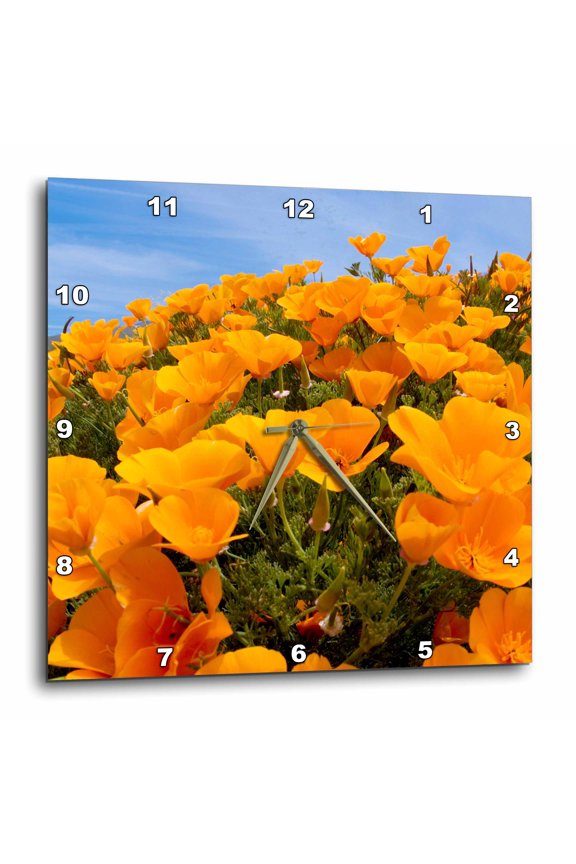 , California Poppies, San Simeon Sp, California - Us05 Pcl0008 - Paul Colangelo, 13x13 Wall Clock