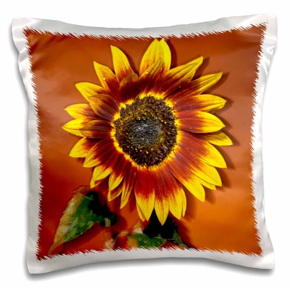 3drose, California, San Diego, Hybrid Sunflower - Us05 Bja0039 - Jaynes Gallery, 16x16 inch Pillow Case