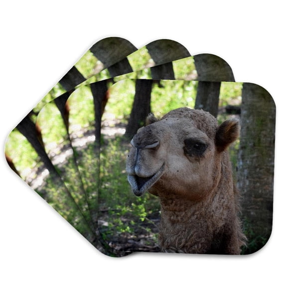 3drose, Camel Dromedary Face Animal, Set of 4 Coasters - Soft
