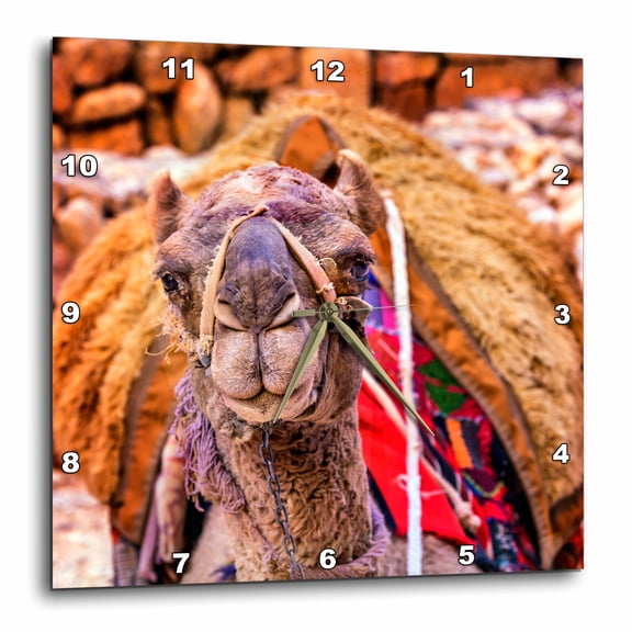 3drose, Camel Resting at Petra After Giving Rides to Tourists, Jordan., 10x10 Wall Clock