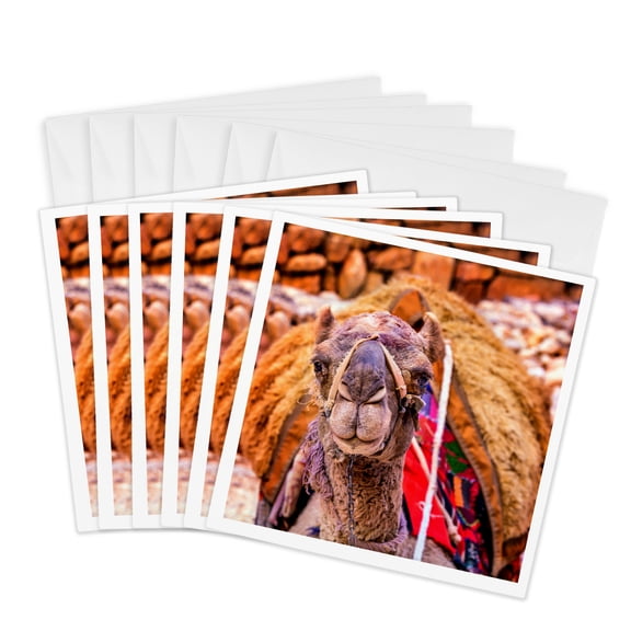 3drose, Camel Resting at Petra After Giving Rides to Tourists, Jordan., 6 Greeting Cards with Envelopes