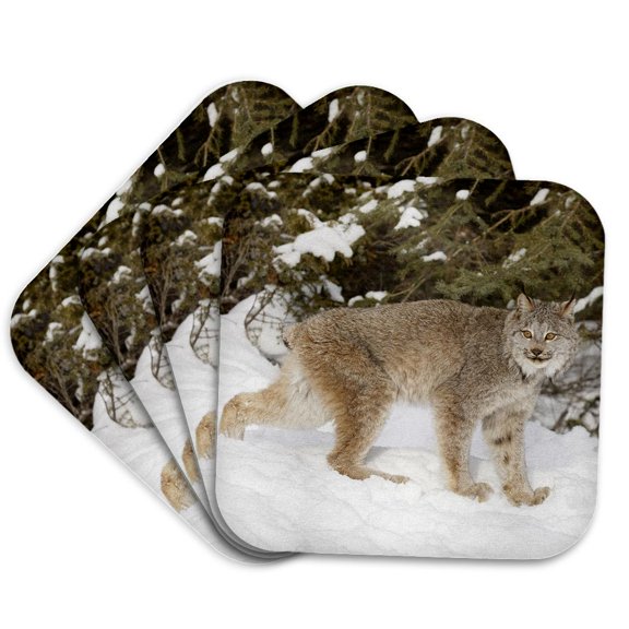3drose, Canada Lynx in Winter., Set of 4 Coasters - Soft
