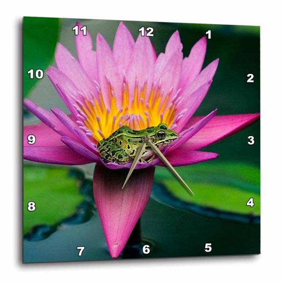 3drose, Canada, Manitoba, Winnipeg. Northern Leopard Frog in Lily Pad Flower., 10x10 Wall Clock
