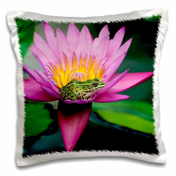 3drose, Canada, Manitoba, Winnipeg. Northern Leopard Frog in Lily Pad Flower., 16x16 inch Pillow Case