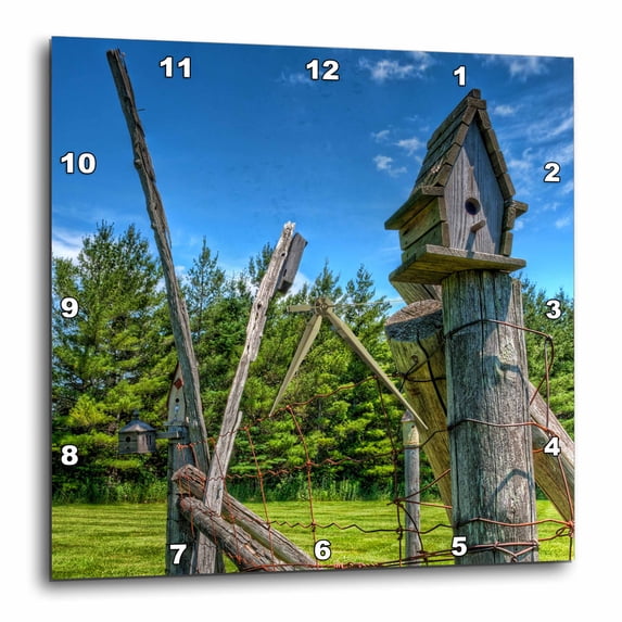 3drose, Canada, Ontario, Erin, Bird House, 10x10 Wall Clock - Walmart.com