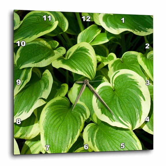 3drose, Canada, Quebec, Montreal. Botanical Garden, 15x15 Wall Clock