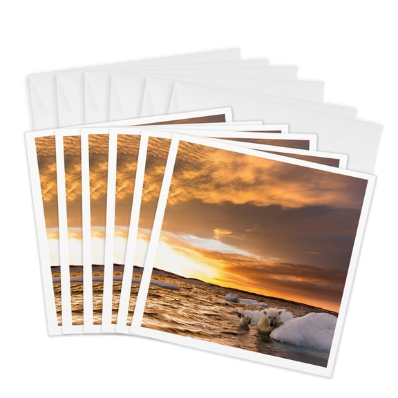 3drose, Canada, Repulse Bay, Polar Bear and Cub on Sea Ice at Sunset., 6 Greeting Cards with Envelopes
