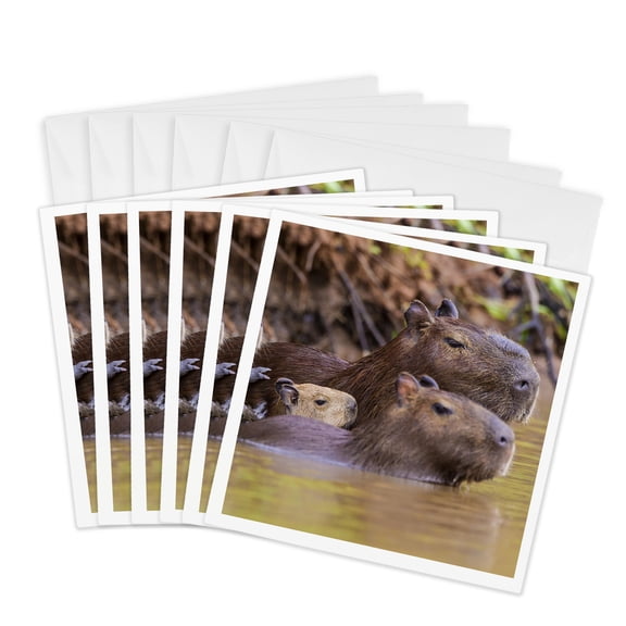 3drose, Capybaras Are Rodents Commonly Found in the Pantanal, Brazil., 6 Greeting Cards with Envelopes