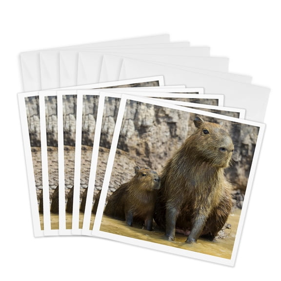3drose, Capybaras Are Rodents Found in the Pantanal, Brazil. with Young., 6 Greeting Cards with Envelopes