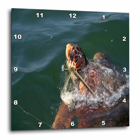 3drose, Caretta Caretta Loggerhead Turtle in Natural Environment, 10x10 Wall Clock