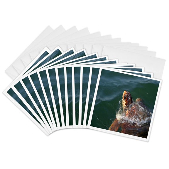 3drose, Caretta Caretta Loggerhead Turtle in Natural Environment, 12 Greeting Cards with Envelopes