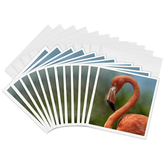 3drose, Caribbean Flamingo,phoenicopterus Ruber Ruber, Singapore, 12 Greeting Cards with Envelopes
