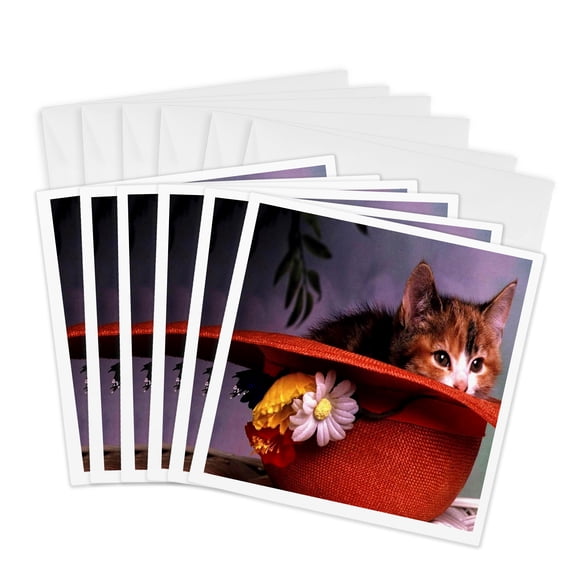 3drose, Cat in a Red Hat, 6 Greeting Cards with Envelopes