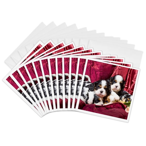 3drose, Cavalier King Charles Spaniel Puppy Dogs - Us05 Zmu0119 - Zandria Muench Beraldo, 12 Greeting Cards with Envelopes